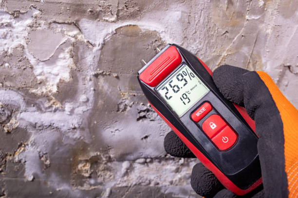 Professional Mold Removal in Oakland, CA