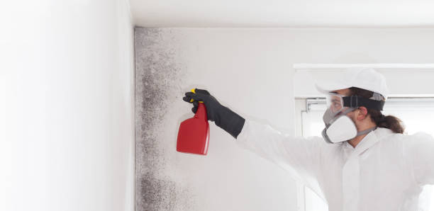 Best Mold Cleaning Services  in Oakland, CA