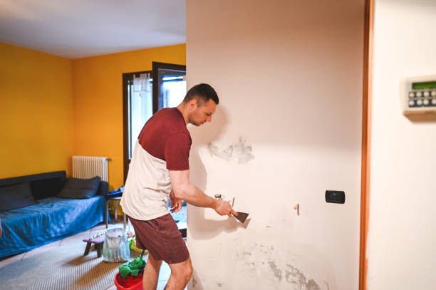 Best Mold Remediation  in Oakland, CA